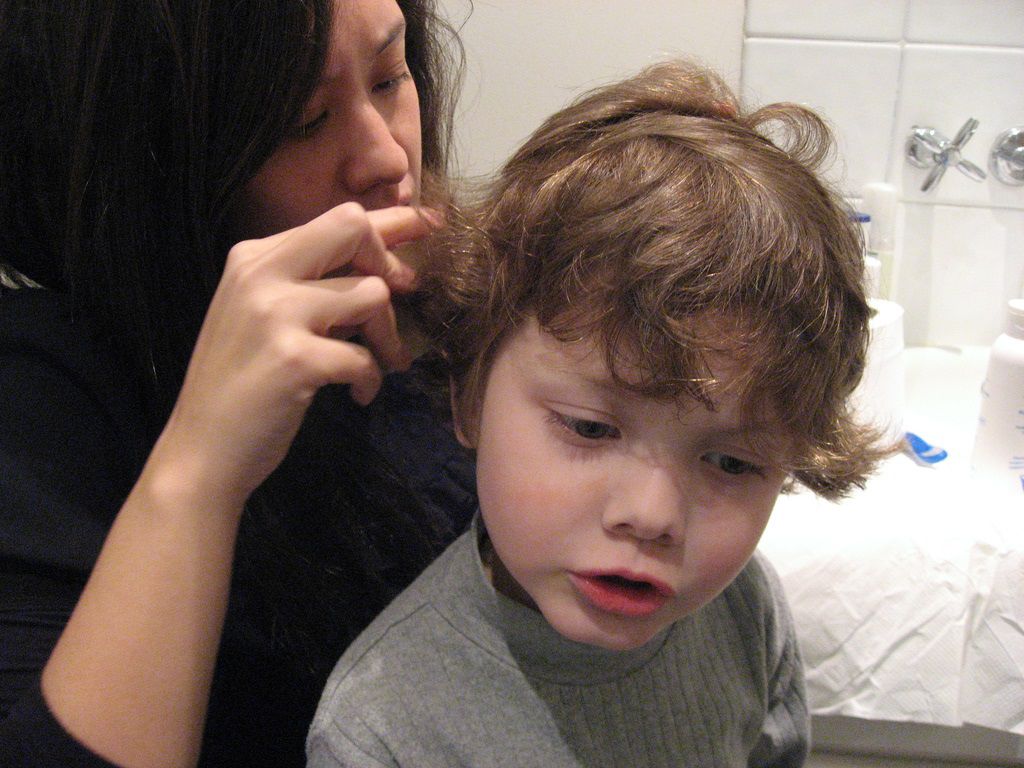 lice inspection